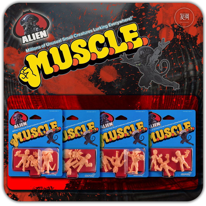 Vintage Toys Collector - Polyphony Super7 Muscle In Stock Mainan